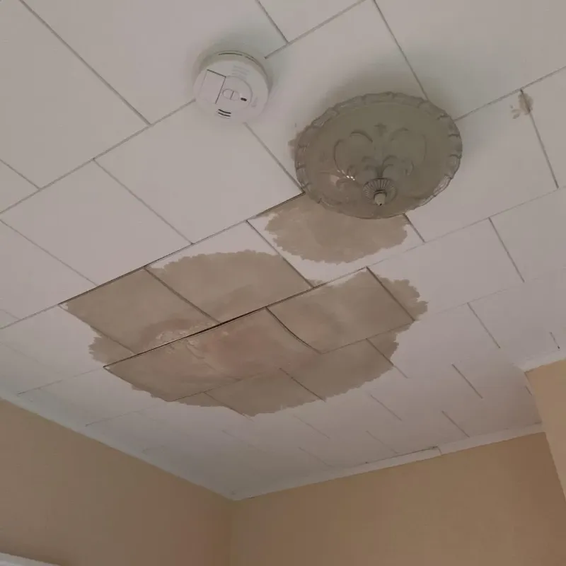 Ceiling Water Damage Repair in Newfane, VT