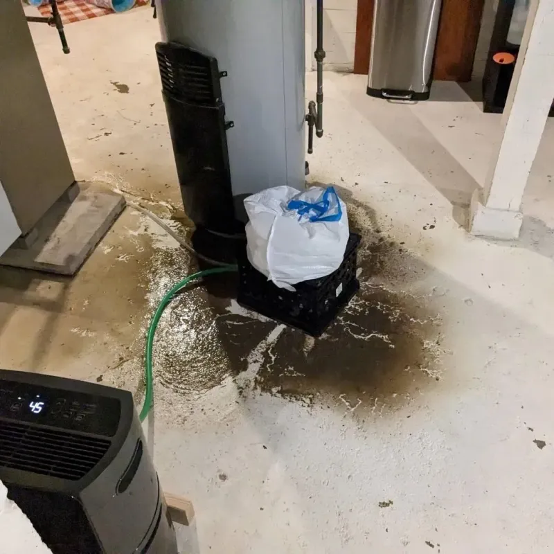 Sewage Backup Cleanup Service in Newfane, VT